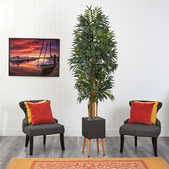 6.5ft. Phoenix Palm Tree in Black Planter with Stand